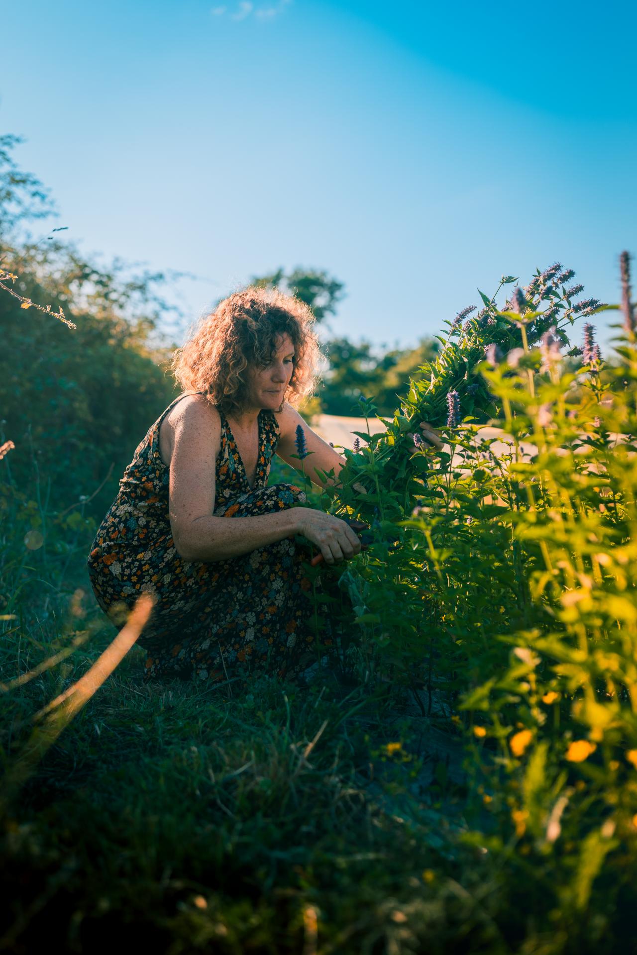 La Fermi&egrave;re et l'Epicurien