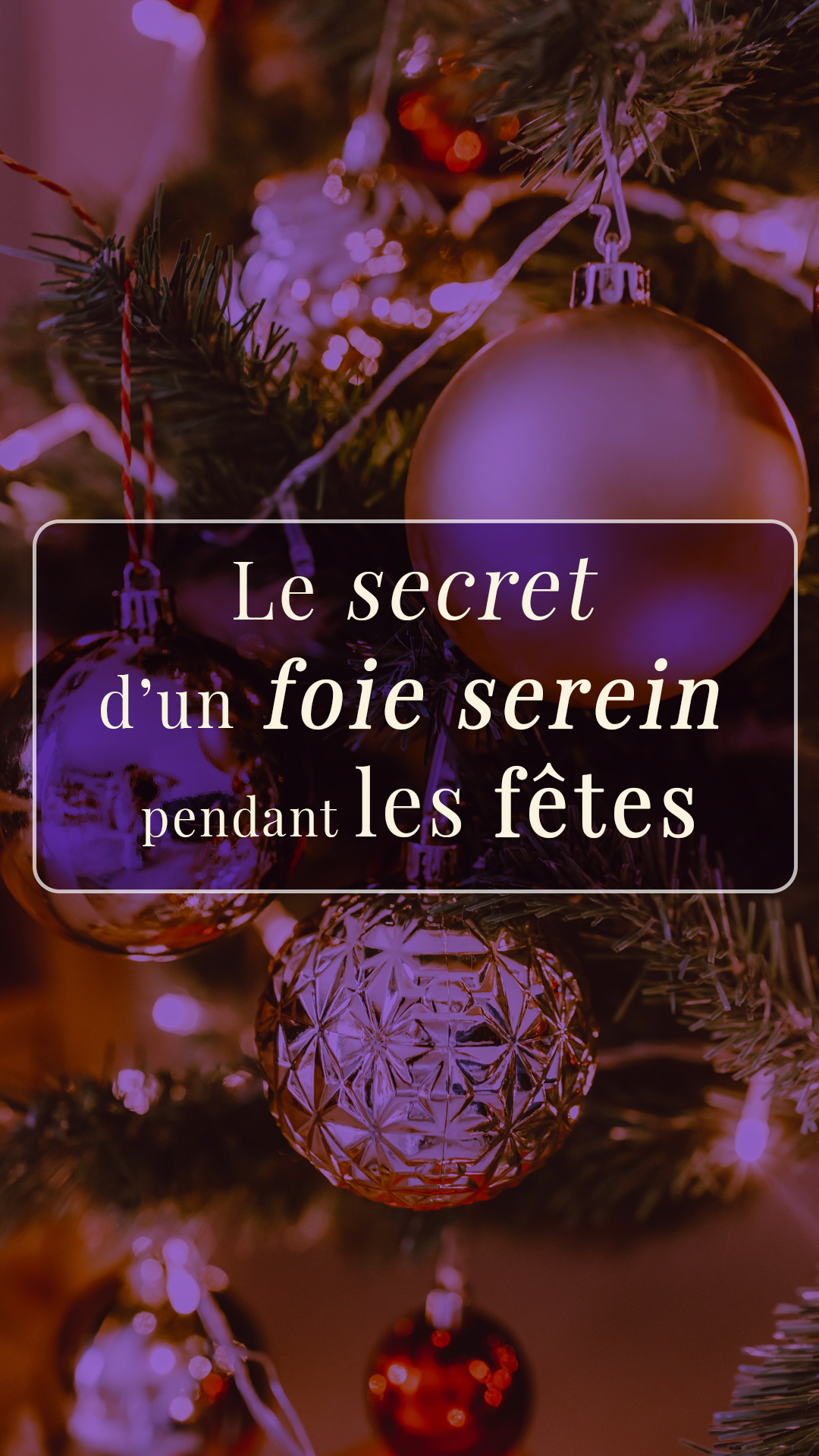 Desmodium : une plante de saison pour accompagner le foie en p&eacute;riode de f&ecirc;tes