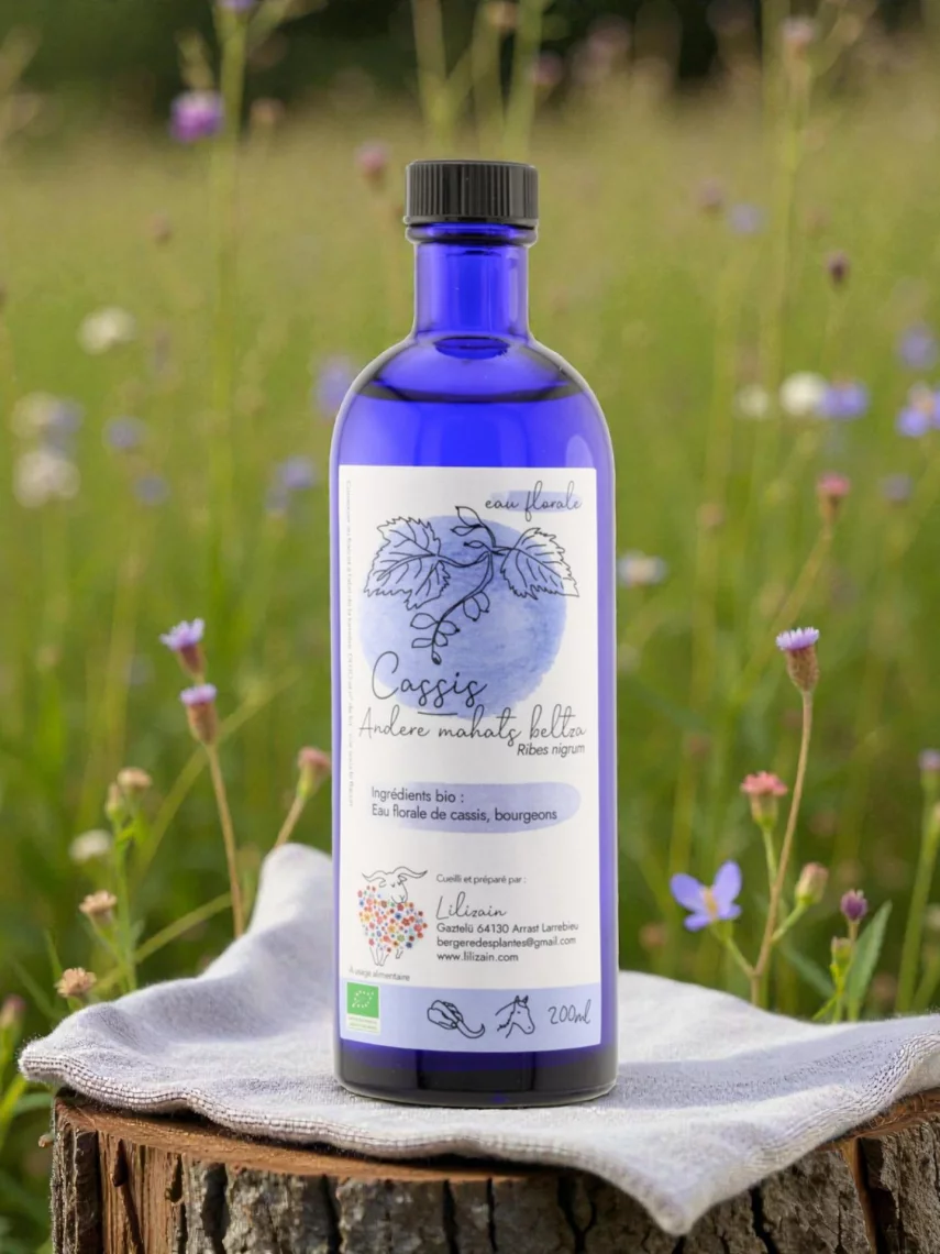 Hydrolat Cassis Bio Lilizain Pays basque � Drainant et revitalisant 200 ml