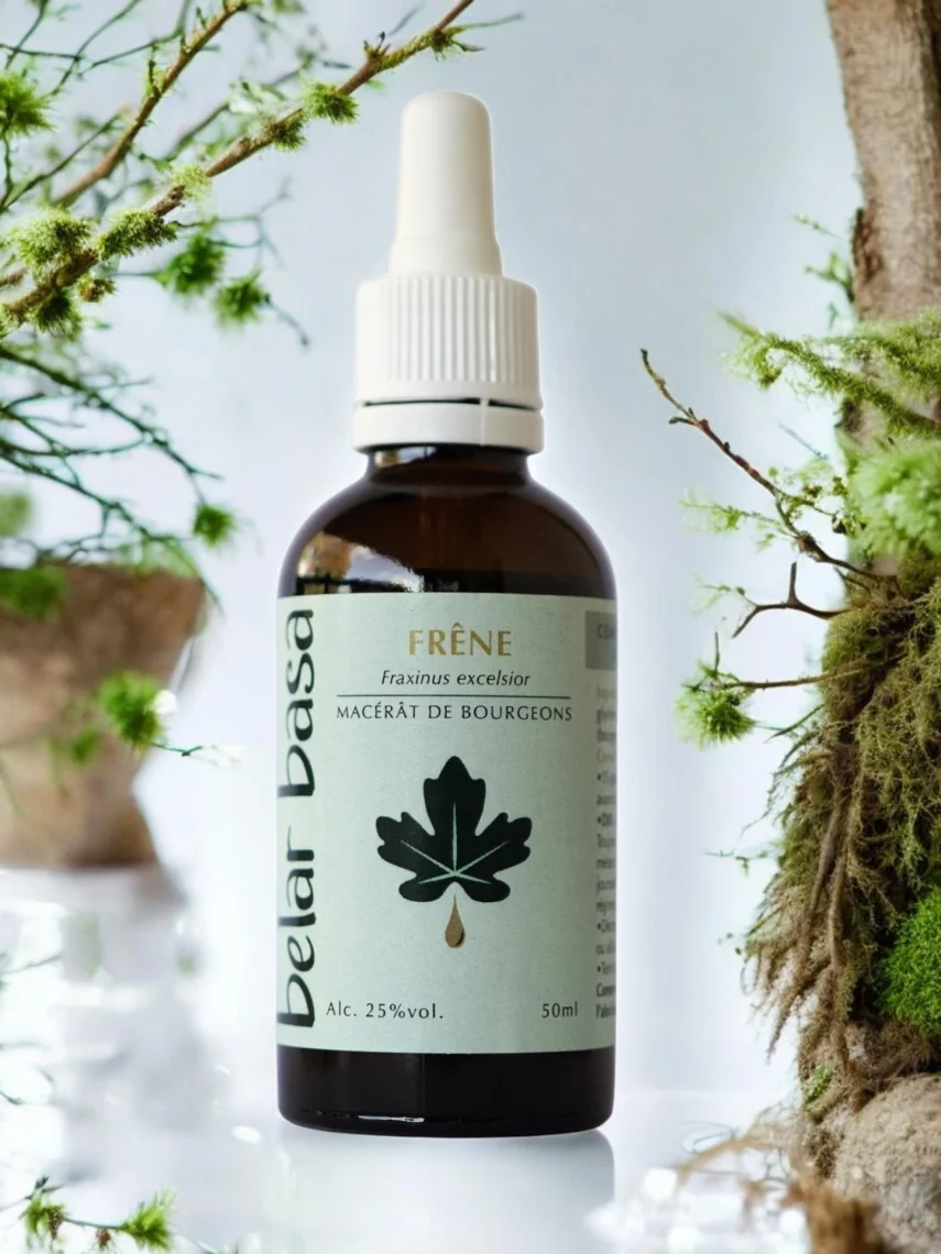 Fr&ecirc;ne Fraxinus excelsior � Gemmoth&eacute;rapie 1D Bio � Articulations & D&eacute;tox