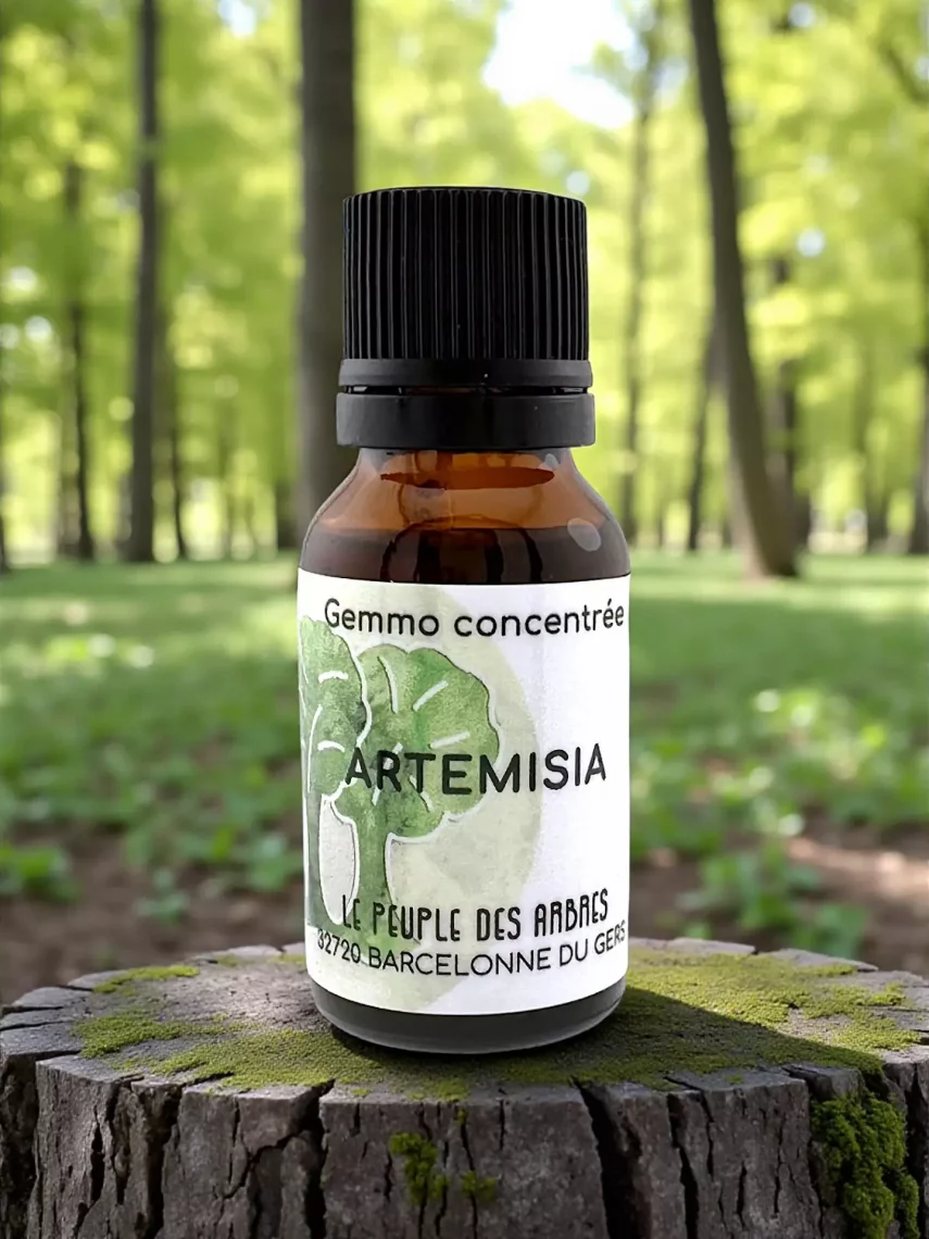 Art&eacute;misia annua extrait hydroalcoolique 15 ml immunit&eacute; naturelle Bio
