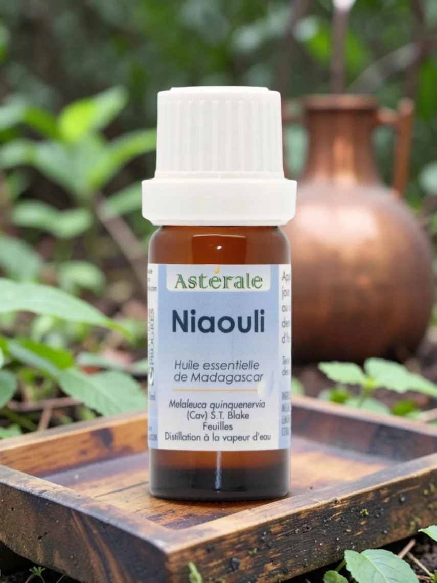 Huile essentielle de Niaouli bio 10 ml protection cutan&eacute;e et respiration