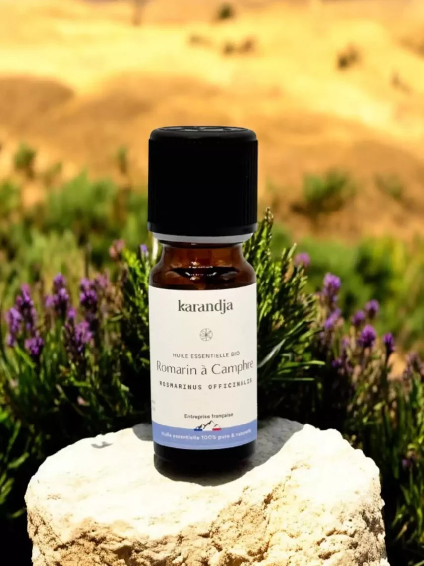 Huile essentielle de Romarin &agrave; camphre bio 10 ml douleurs musculaires respiration concentration France
