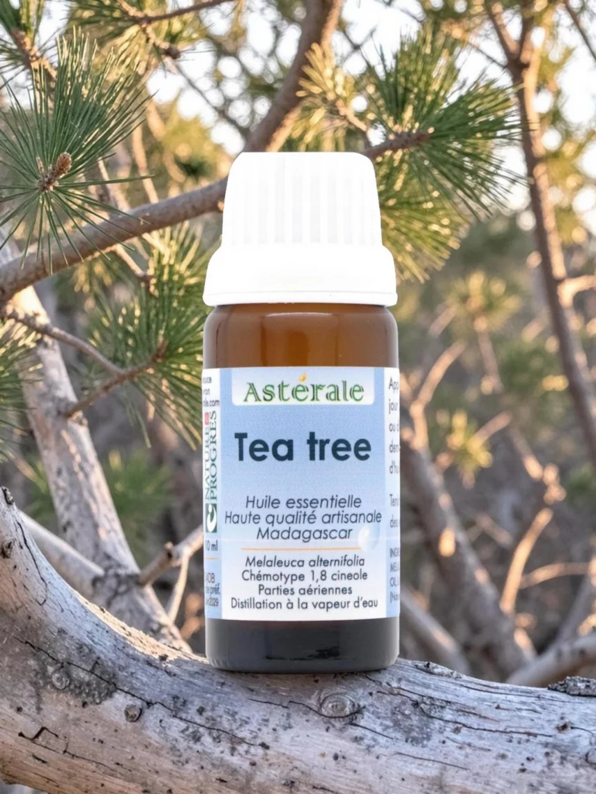 Huile essentielle de Tea Tree 10 ml purifiante, ch&eacute;motype 1,8 cin&eacute;ole, Nature et Progr&egrave;s