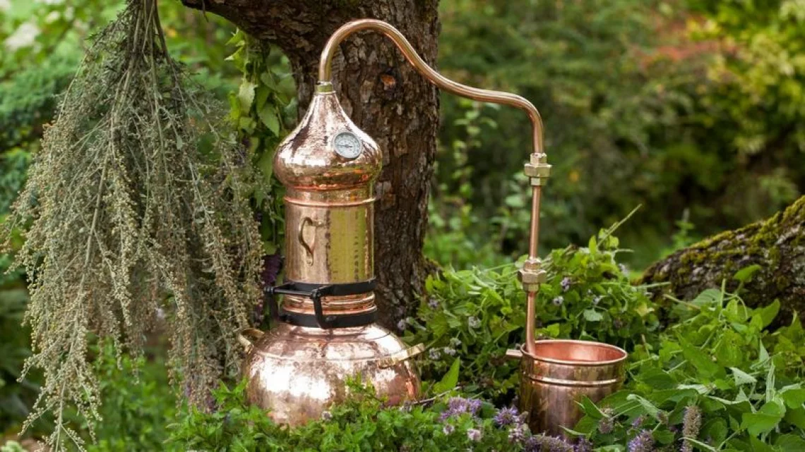 Distillation &agrave; l'alambic : une journ&eacute;e d'atelier hydrolats et huiles essentielles &agrave; Orthez