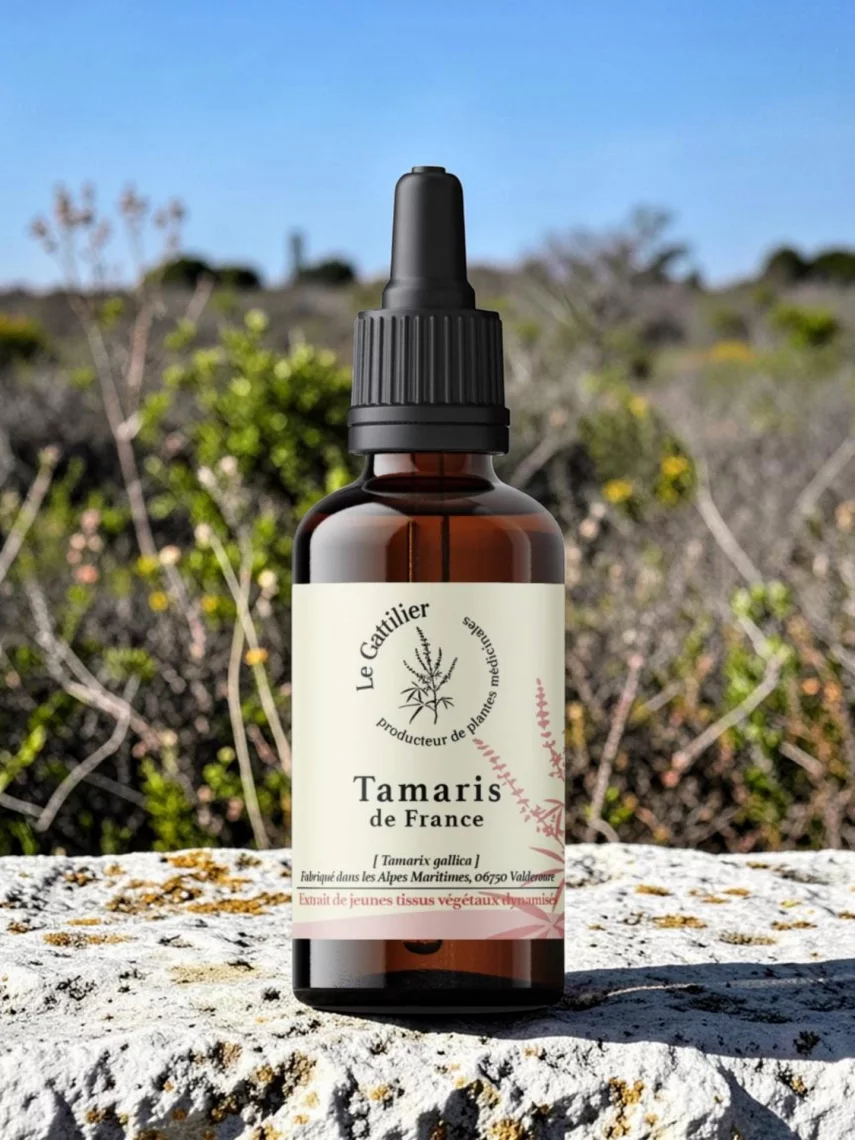 Tamaris de France bio et Demeter, extrait de jeunes pousses 1D dynamis&eacute;, gemmoth&eacute;rapie vitalit&eacute; et fer 50 ml