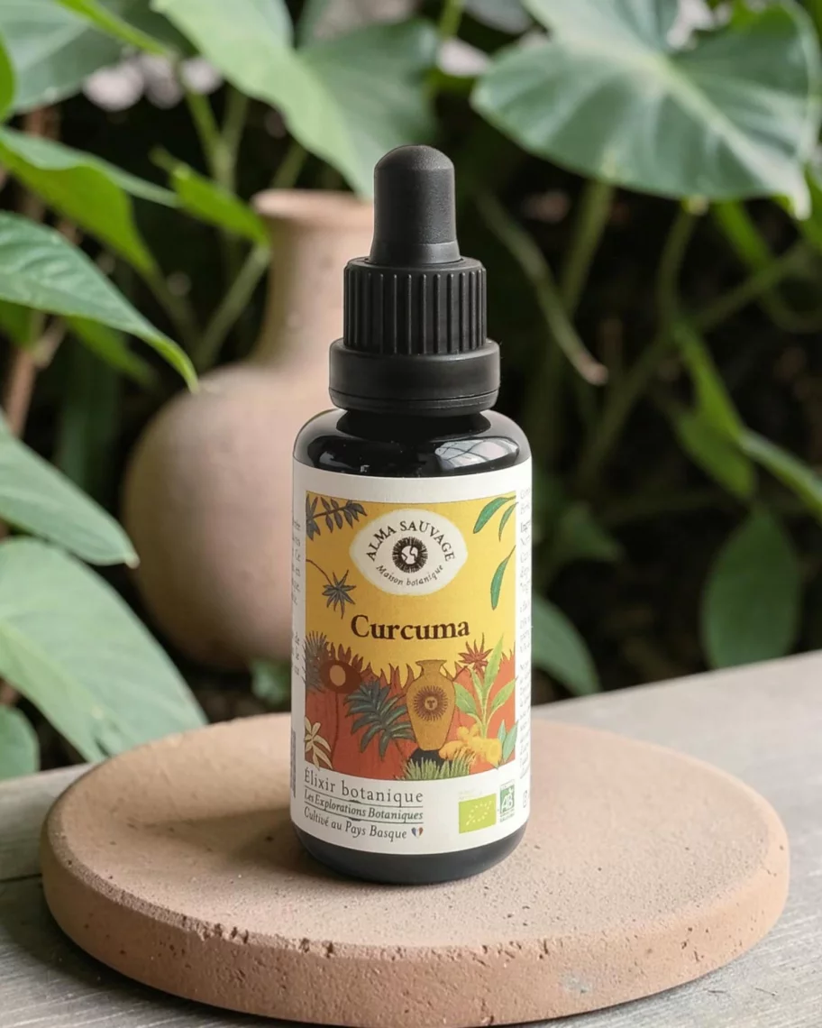 Curcuma bio du Pays Basque, extrait pur de rhizome, foie et &eacute;quilibre, Alma Sauvage 30 ml