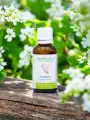 Macérat de bourgeons bio d'Aubépine sans alcool  Sérénité et équilibre cardiovasculaire