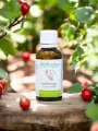 Macérat sans alcool de jeunes pousses bio d'Airelle rouge (Vaccinium vitis-idaea)  Équilibre féminin et confort urinaire