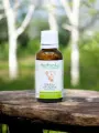 Macérat sans alcool de bourgeons bio de Bouleau verruqueux (Betula pendula)  Détoxifiant et reminéralisant
