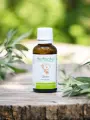 Macérat de bourgeons bio d'Olivier (Olea europaea) sans alcool  Soutien cardiovasculaire et cognitif