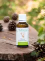 Macérat sans alcool de jeunes pousses bio de Séquoia (Sequoia gigantea)  Vitalité masculine et soutien osseux