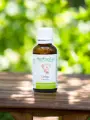 Macérat de bourgeons bio de Ginkgo (Ginkgo biloba) sans alcool  Soutien de la circulation cérébrale et de la mémoire
