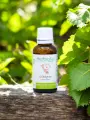 Macérat de bourgeons bio de Châtaignier (Castanea sativa) sans alcool  Drainage lymphatique et confort circulatoire