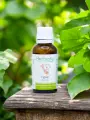 Macérat de bourgeons bio de Figuier (Ficus carica) sans alcool  Équilibre nerveux et confort digestif