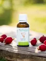 Macérat de jeunes pousses bio d'Églantier (Rosa canina) sans alcool  Renforce les défenses immunitaires et soutient la sphère ORL