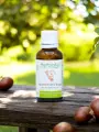 Macérat sans alcool de bourgeons bio de Marronnier d'Inde (Aesculus hippocastanum)  Circulation veineuse et confort vasculaire