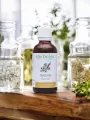 Bardane Bio  Extrait de Plante Fraîche  Détoxification et Santé de la Peau