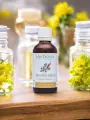 Bouillon Blanc Bio  Extrait de Plante Fraîche  Soutien Respiratoire et Apaisement Digestif
