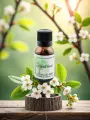 Macérat de bourgeons dAubépine  Cur apaisé & rythme harmonisé  Bio  Le Peuple des Arbres