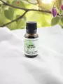 Macérat de bourgeons dArbre de Judée  Circulation, peau & système cardiaque  Bio  Le Peuple des Arbres