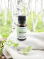 Macérat de bourgeons de Bouleau  Détox & régénération osseuse  Bio  Le Peuple des Arbres