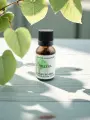 Macérat de bourgeons de Tilleul argenté  Sommeil, stress & digestion  Bio  Le Peuple des Arbres