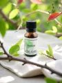 Macérat de bourgeons de Cassis  Vitalité, allergies & inflammations  Bio  Le Peuple des Arbres