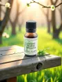 Macérat complexe "Vitalité & Endurance"  Cassis, Chêne & Séquoia  Bio  Le Peuple des Arbres