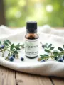 Macérat de bourgeons de Genévrier  Détox foie & articulation  Bio  Le Peuple des Arbres