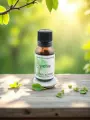Macérat de bourgeons de Hêtre  Régénération & système immunitaire  Bio  Le Peuple des Arbres