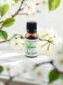 Macérat de bourgeons de Poirier  Sphère uro-génitale, terrain acide & peau  Bio  Le Peuple des Arbres