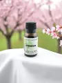 Macérat de bourgeons de Pommier  Hormones, peau & sérénité  Bio  Le Peuple des Arbres