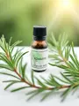Macérat de bourgeons de Romarin  Détox hépatique, mémoire & vitalité  Bio  Le Peuple des Arbres