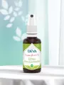 Composé floral 21  Détox émotionnelle  Libération & clarté intérieure  Bio  DEVA