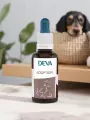 Composé floral animaux  Adoption  Accueil & attachement  Bio  DEVA
