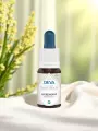 Élixir floral de Bach  Aigremoine  Authenticité & paix intérieure  Bio  DEVA
