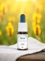 Élixir floral de Bach  Ajonc  Espoir & persévérance  Bio  DEVA