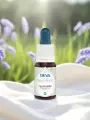 Élixir floral de Bach  Centaurée  Affirmation & libre arbitre  Bio  DEVA