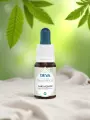 Élixir floral de Bach  Châtaignier  Traversée des épreuves & lumière  Bio  DEVA