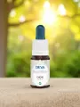 Élixir floral de Bach  Chêne  Endurance & lâcher-prise  Bio  DEVA