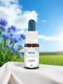 Élixir floral de Bach  Chicorée  Amour libre & détachement affectif  Bio  DEVA