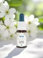 Élixir floral de Bach  Pommier sauvage  Purification & acceptation de soi  Bio  DEVA
