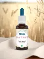 Élixir floral de Bach  Folle avoine  Orientation & vocation  Bio  DEVA