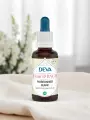 Élixir floral de Bach  Marronnier blanc  Clarté mentale & apaisement  Bio  DEVA
