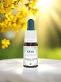 Élixir floral de Bach  Mimulus  Courage doux & sérénité  Bio  DEVA
