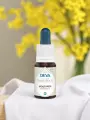 Élixir floral de Bach  Moutarde  Lumière intérieure & stabilité  Bio  DEVA
