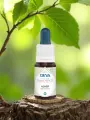 Élixir floral de Bach  Noyer  Transition & protection intérieure  Bio  DEVA