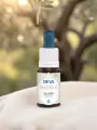 Élixir floral de Bach  Olivier  Régénération & vitalité  Bio  DEVA