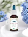 Élixir floral de Bach  Plumbago  Écoute intérieure & assurance  Bio  DEVA
